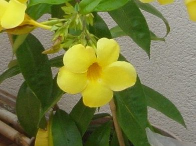 DSC00141