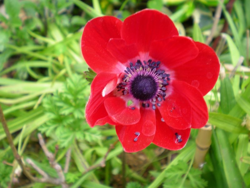DSCN0236