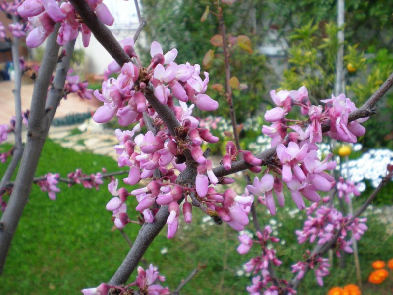 DSCN0240