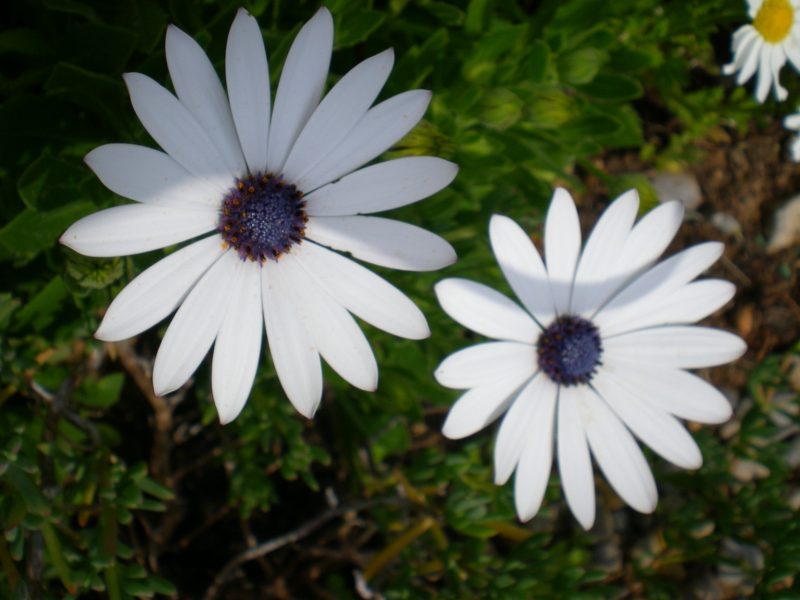 DSCN0255