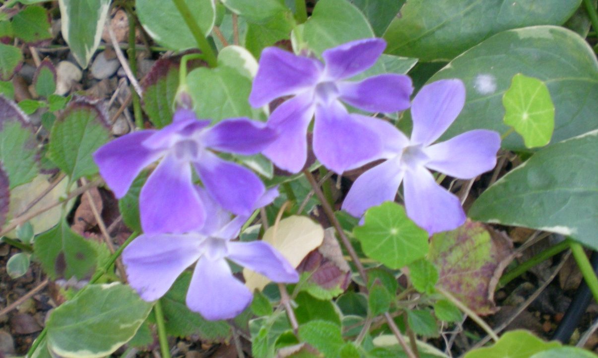 DSCN1537