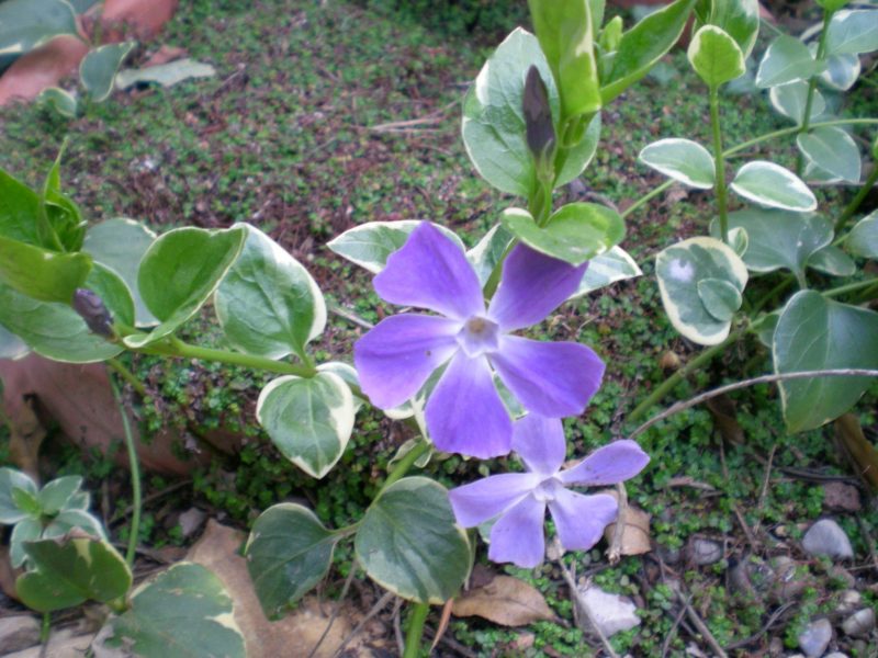 DSCN1546