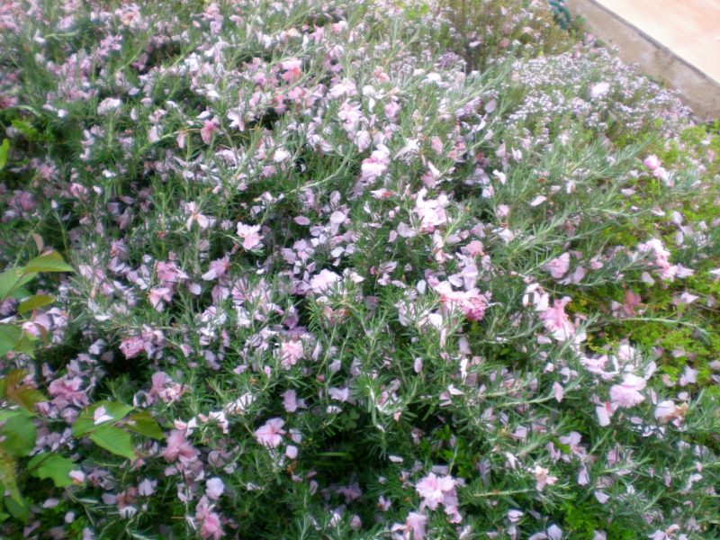 DSCN1995