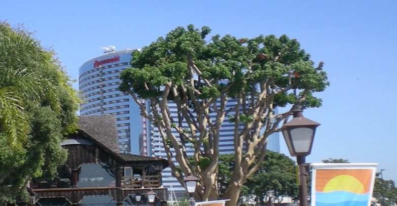 DSCN3026