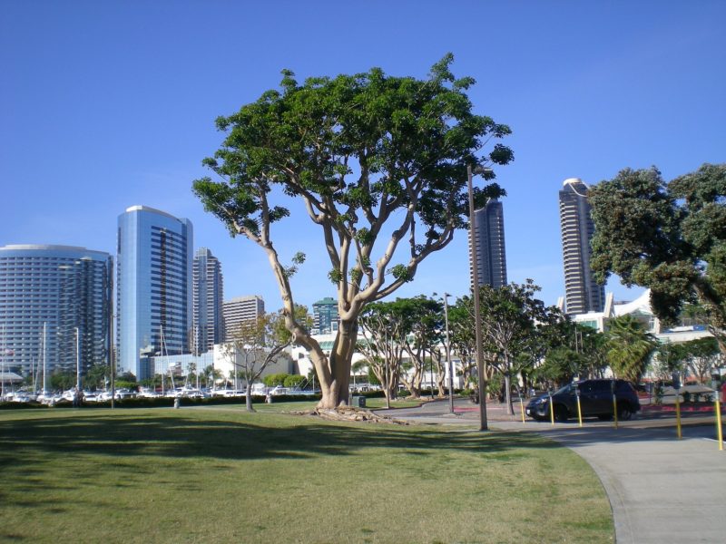 DSCN3069