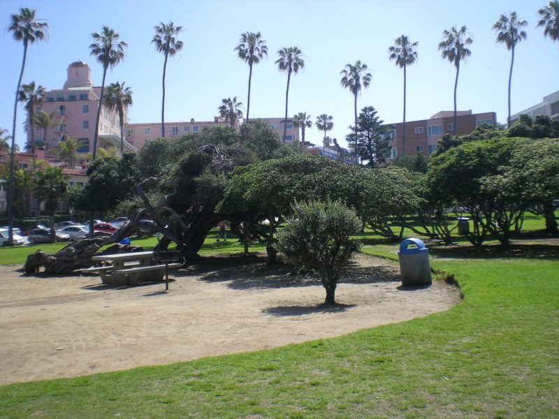 DSCN3145