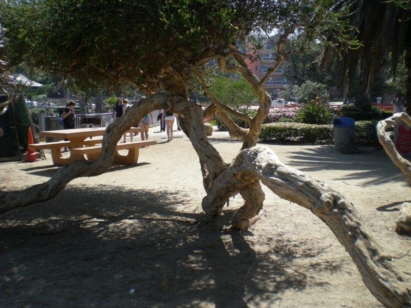 DSCN3168