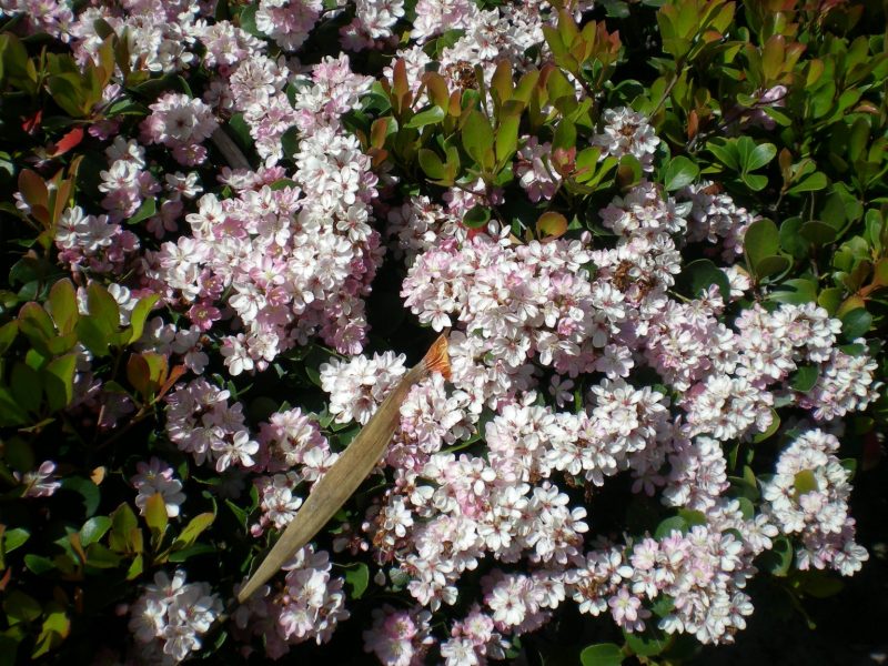 DSCN3170