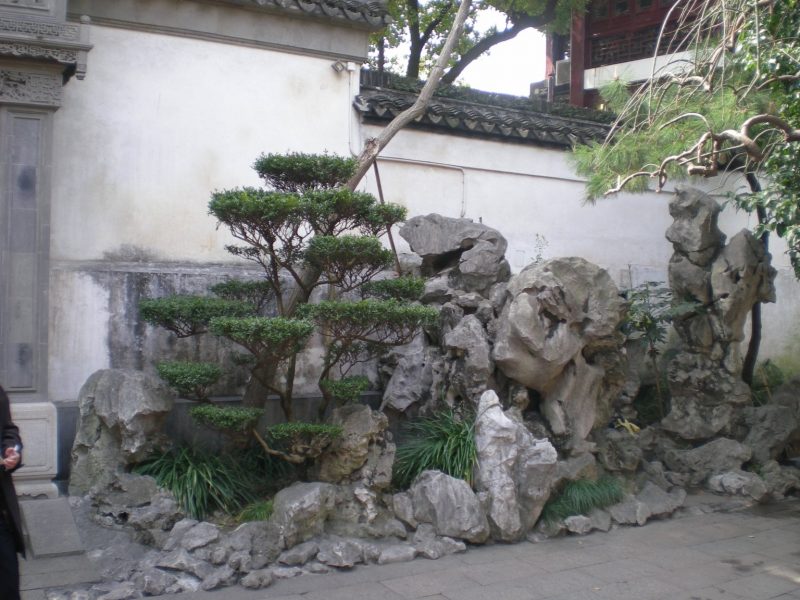 DSCN3253