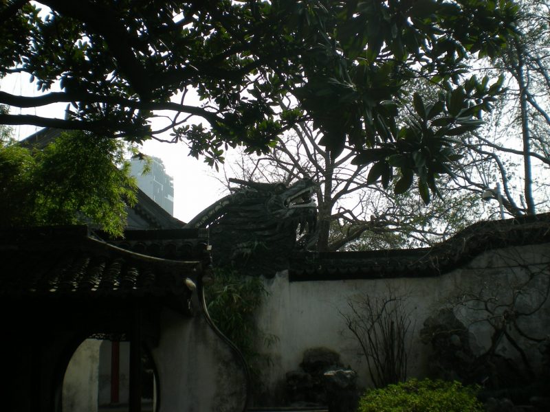 DSCN3271