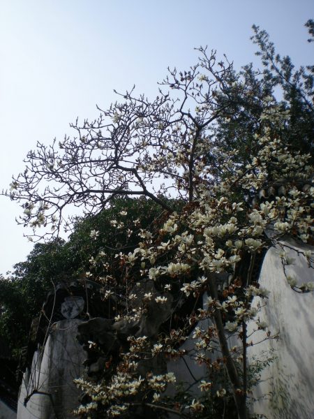 DSCN3277
