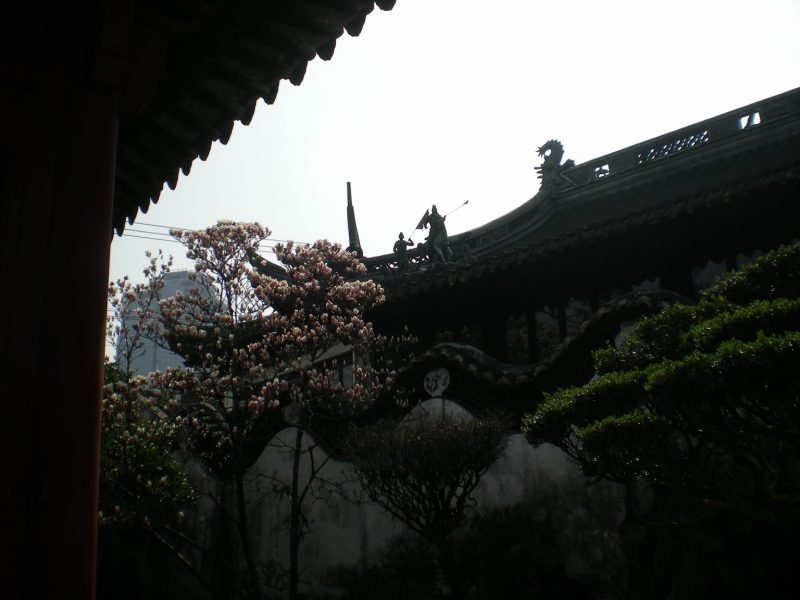 DSCN3278