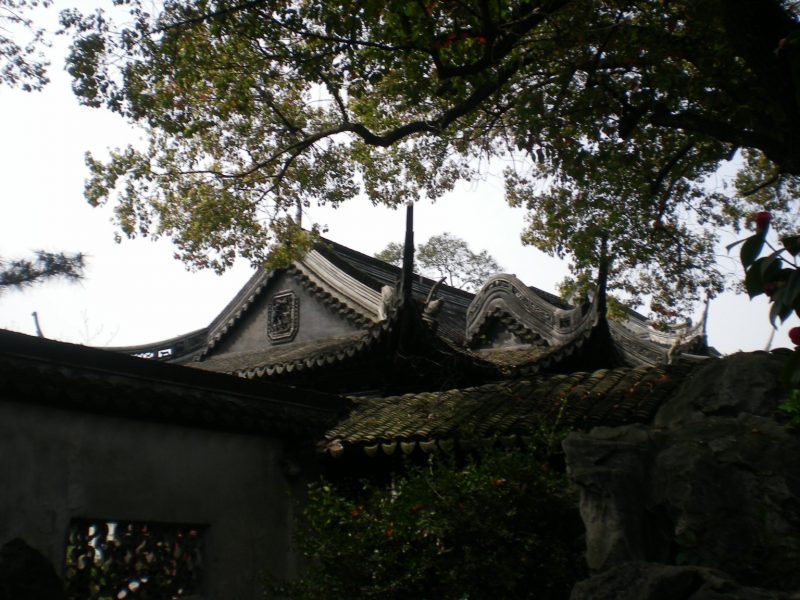 DSCN3284