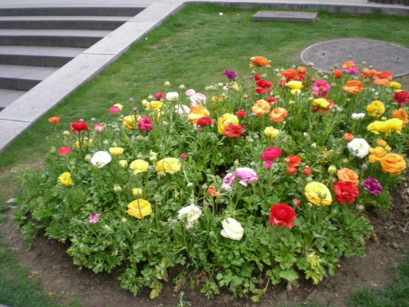 DSCN3378