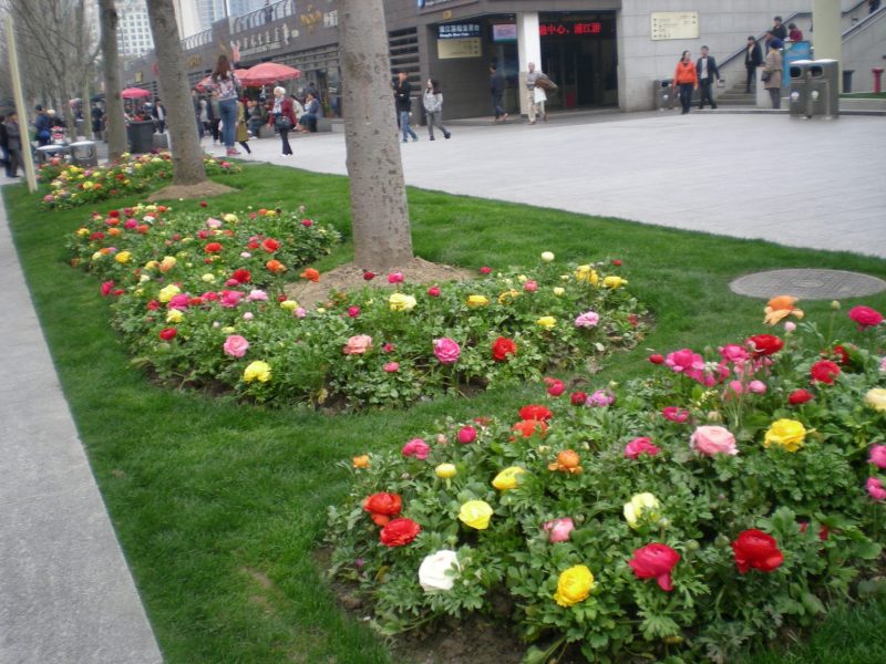 DSCN3379