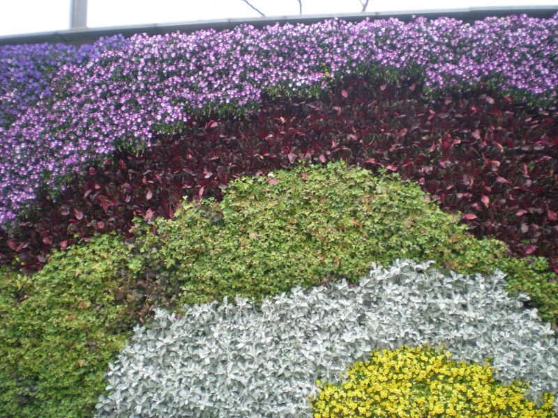 DSCN3397