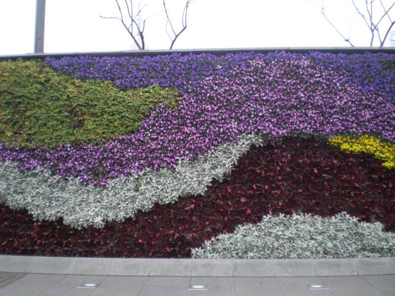 DSCN3402