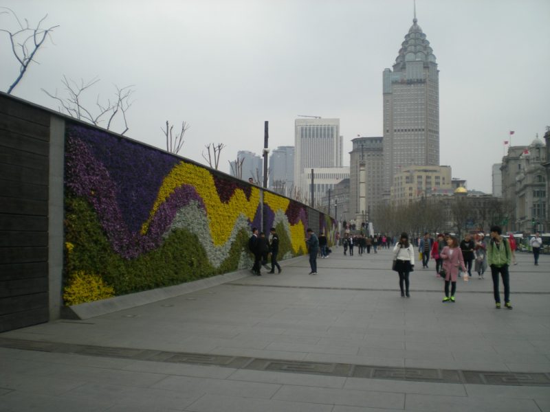 DSCN3403