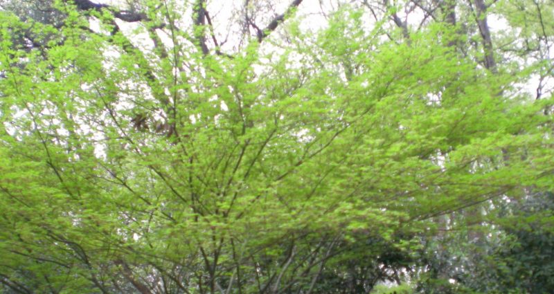 DSCN3613
