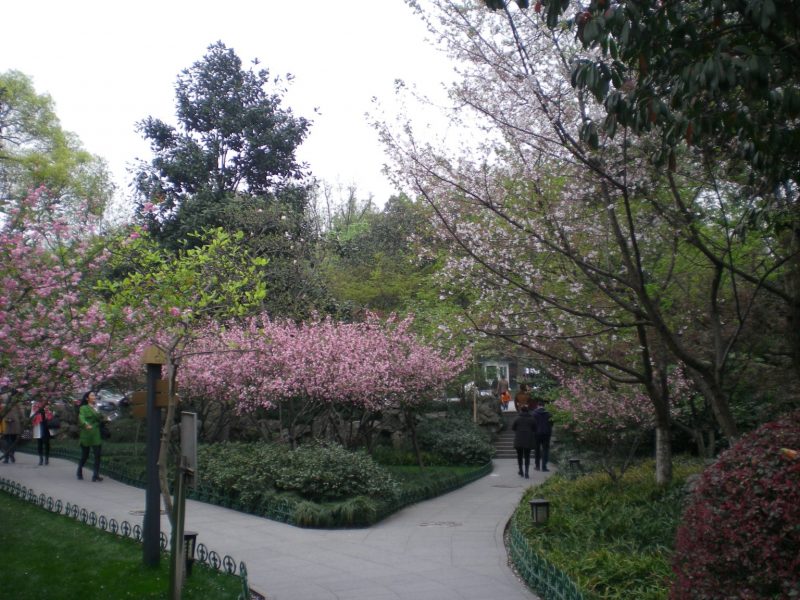 DSCN3629