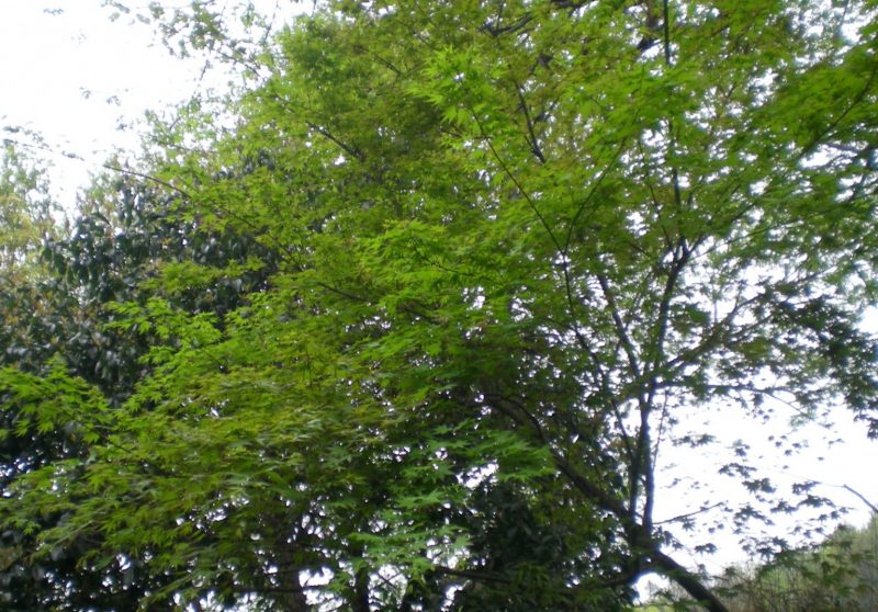 DSCN3634