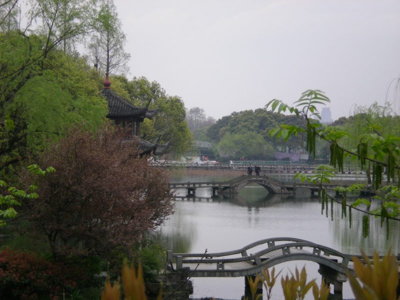 DSCN3678