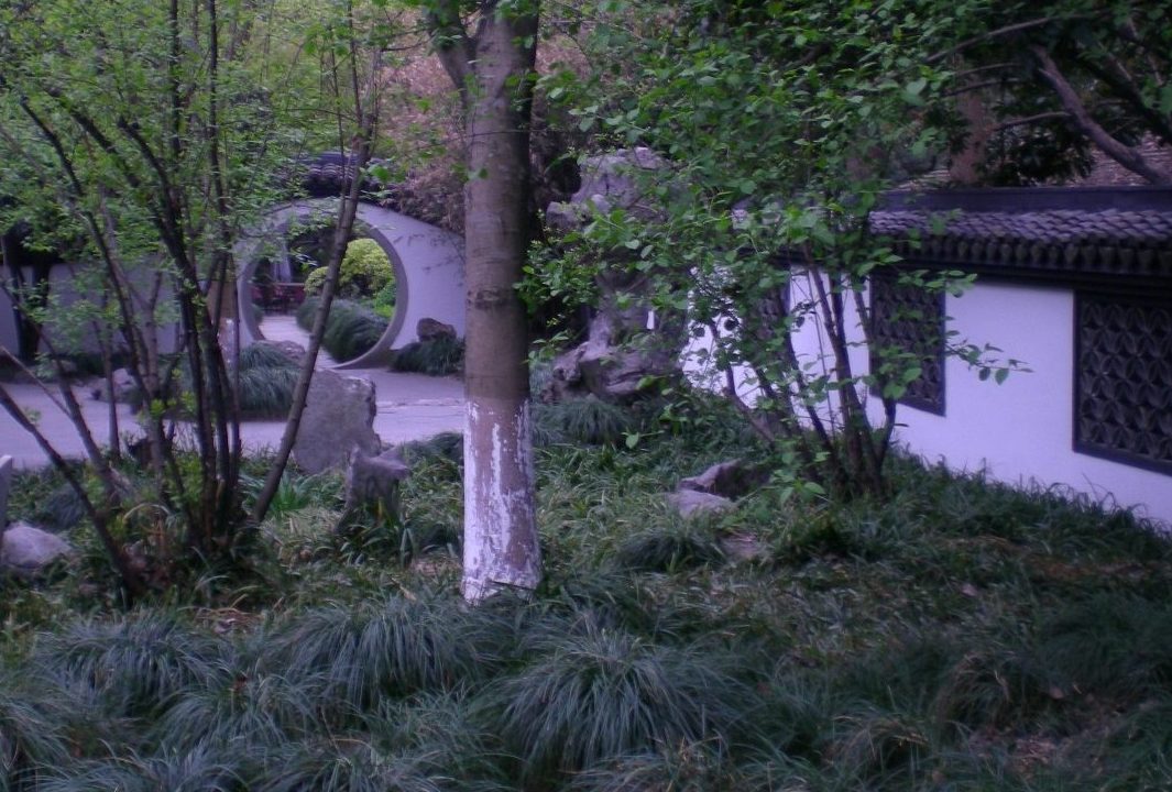 DSCN3722