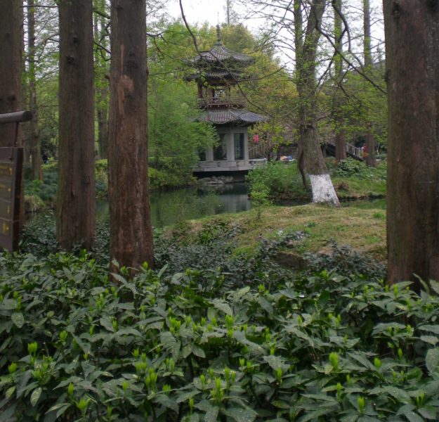 DSCN3813