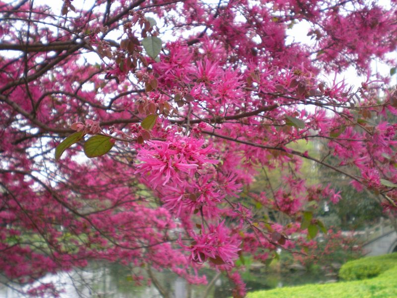 DSCN3817