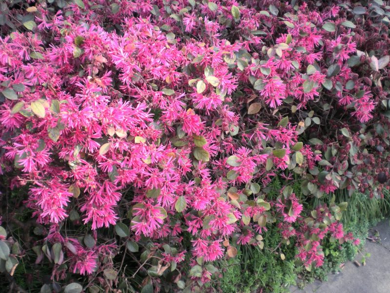 DSCN3856