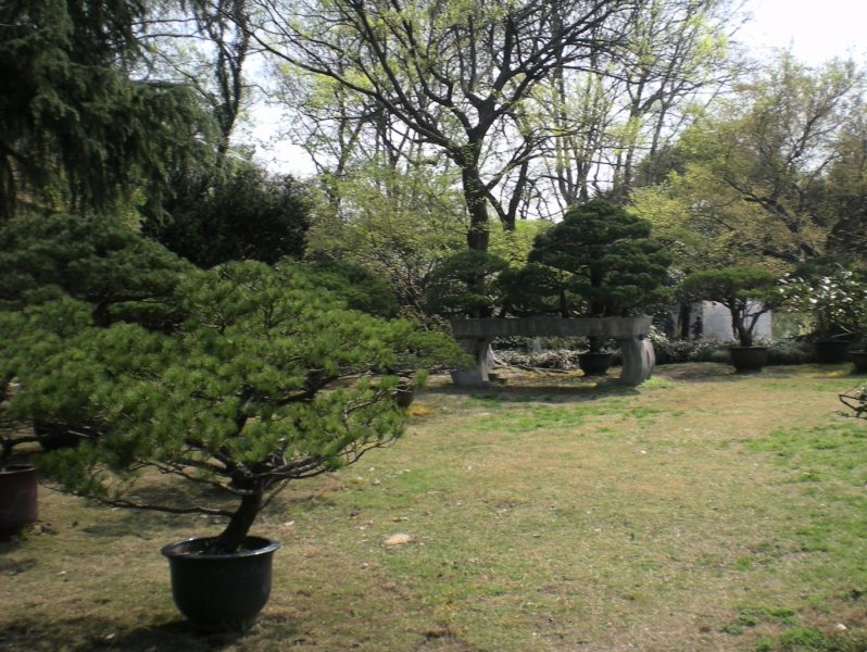 DSCN3902