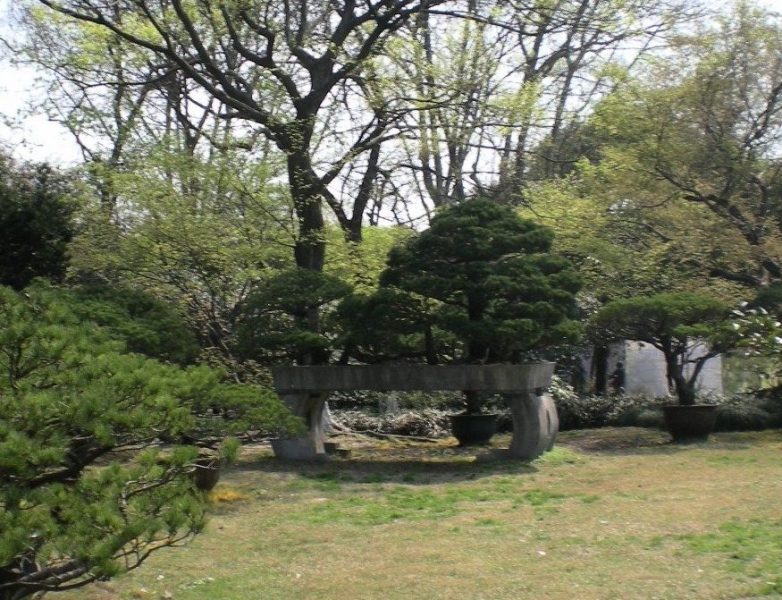 DSCN3902