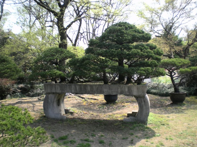 DSCN3903