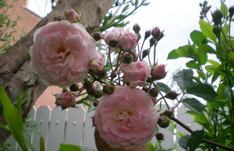 DSCN4097