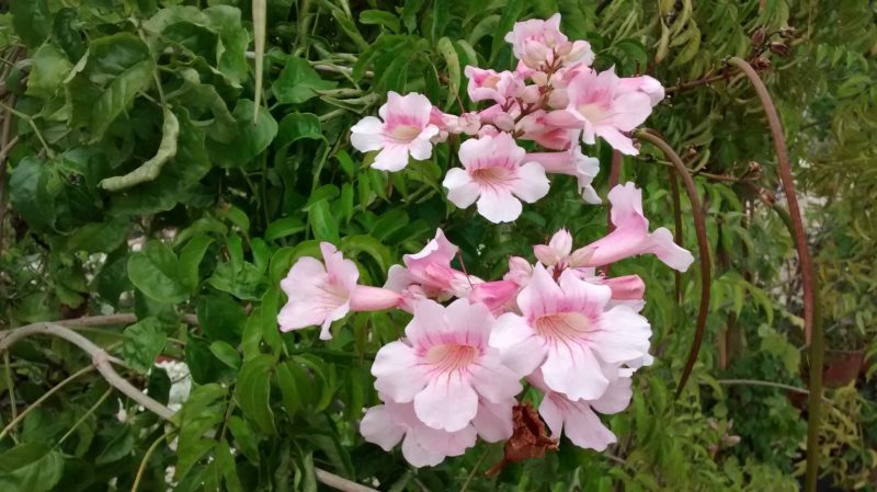 img_20160817_163635117