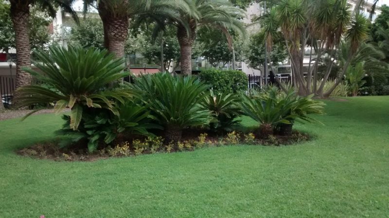IMG_20160820_154217666