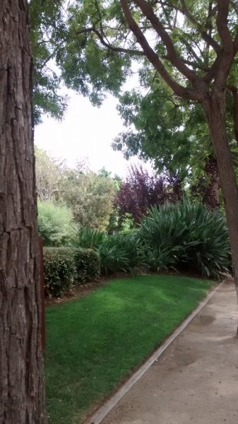 IMG_20160820_154553070