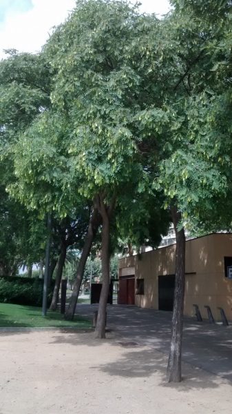IMG_20160820_154706483