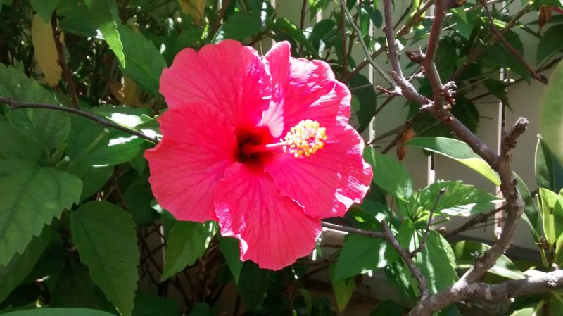 IMG_20160825_140652455