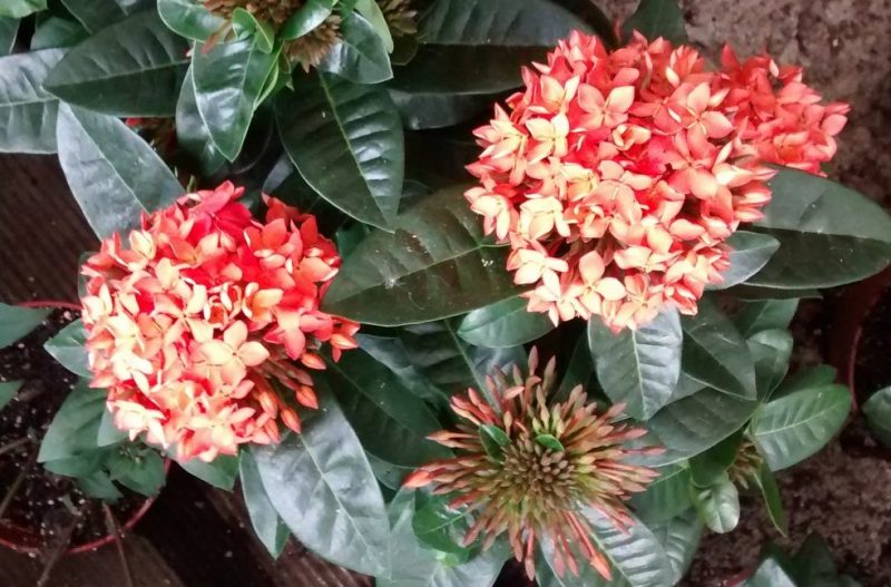 IMG_20160830_190542058