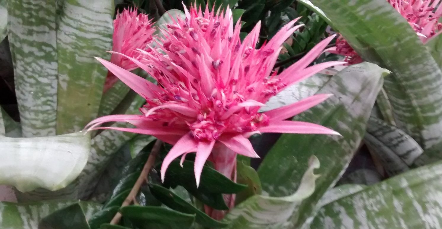 IMG_20160830_191338408