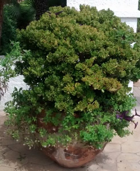 IMG_20160904_132127403