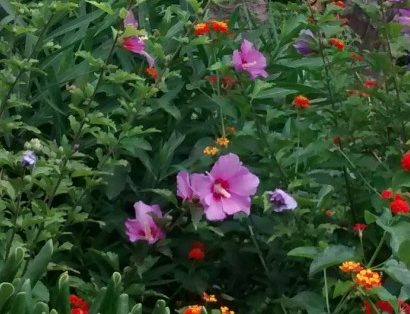 IMG_20160904_132313129