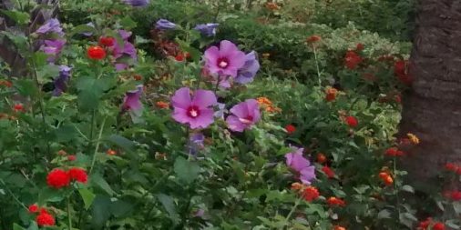 IMG_20160904_132313129