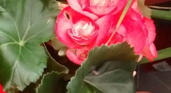 img_20160906_112637919