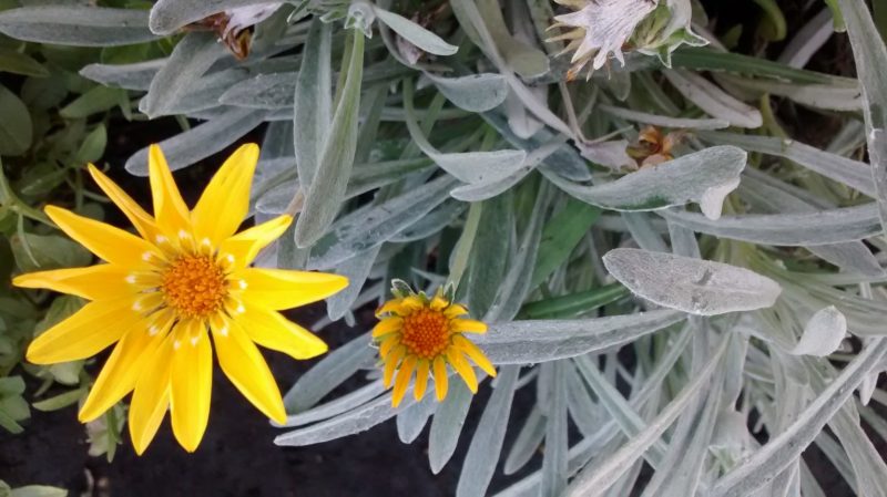 img_20160906_114220752
