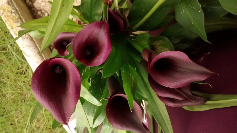 img_20160908_092846867