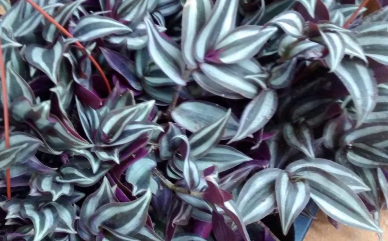 img_20160908_093003654