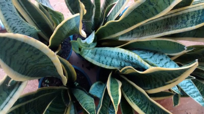 img_20160908_093103788