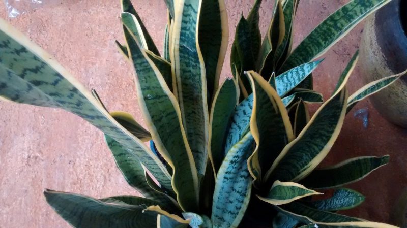 img_20160908_093114044